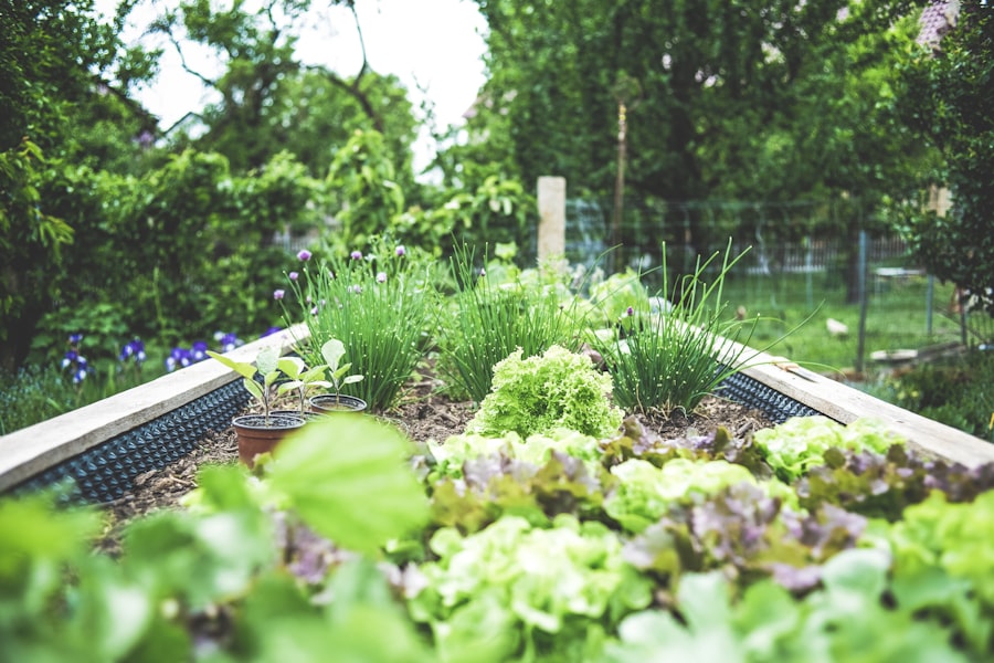 Garden in summer